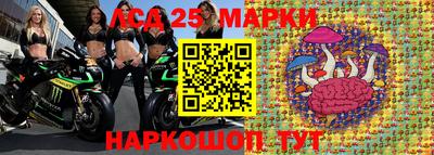 гидра Краснознаменск
